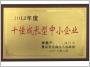 十佳成長型中小企業